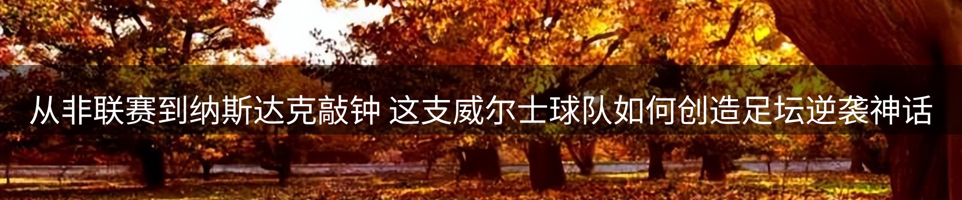 内页banner