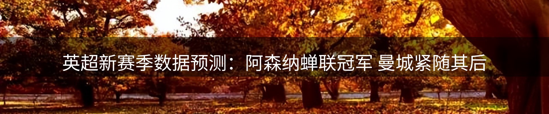 内页banner
